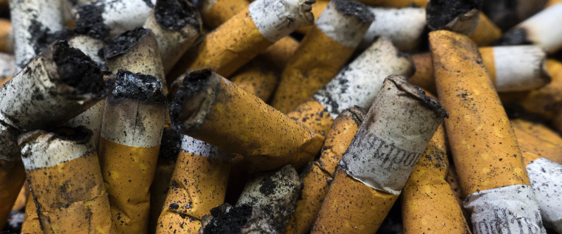Regulating Tobacco in the US: An Expert's Perspective